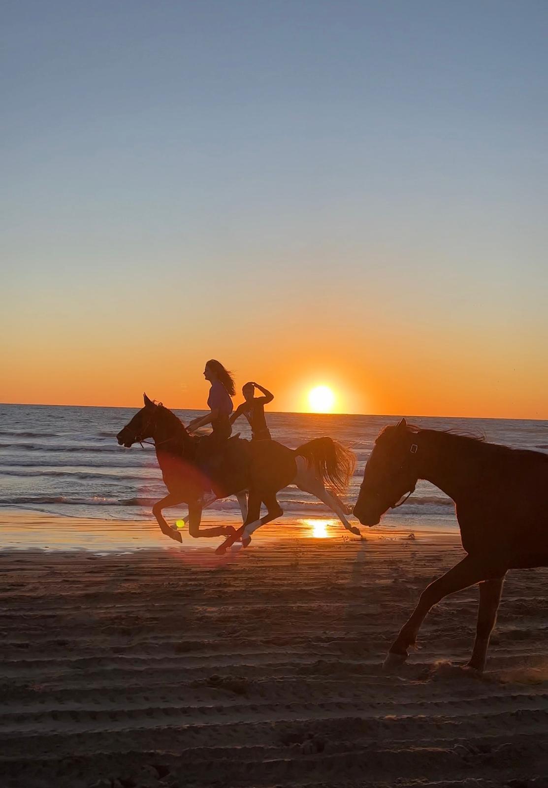 people riding horses next to the sunset